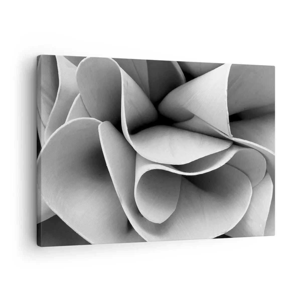 Lærredstryk - Billede på lærred - Sort-hvide detaljer af abstrakte former - 70x50cm - Hvad der sker i rummet - Moderne vægdekoration til stue og soveværelse ARTTOR