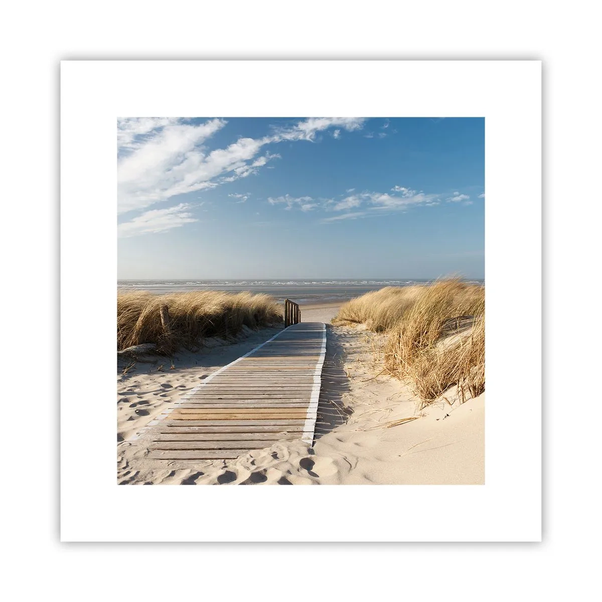 Plakat - Bag klitten, i græssets summen - 30x30 cm