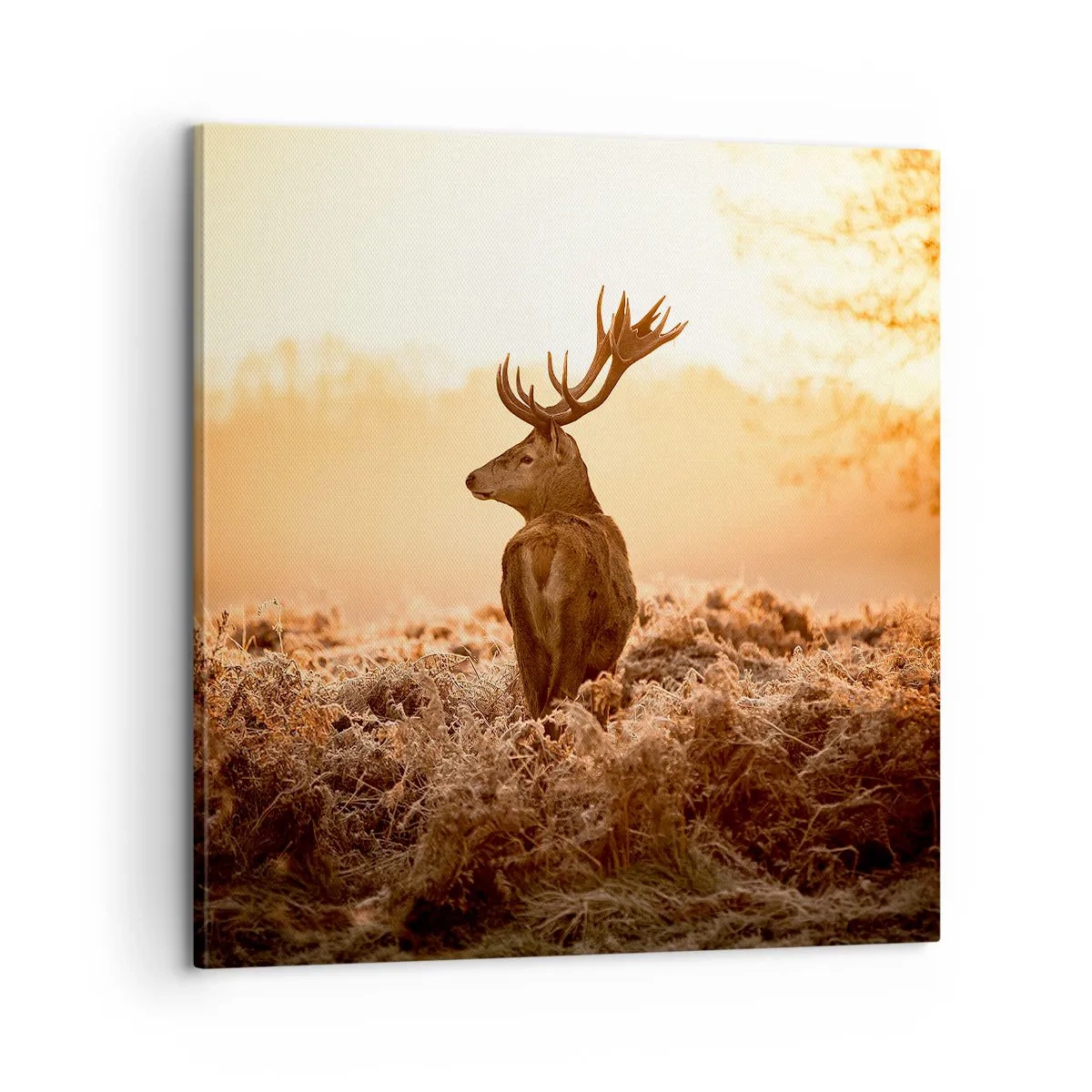 Lærredstryk - Billede på lærred - Herre på godset - 60x60 cm