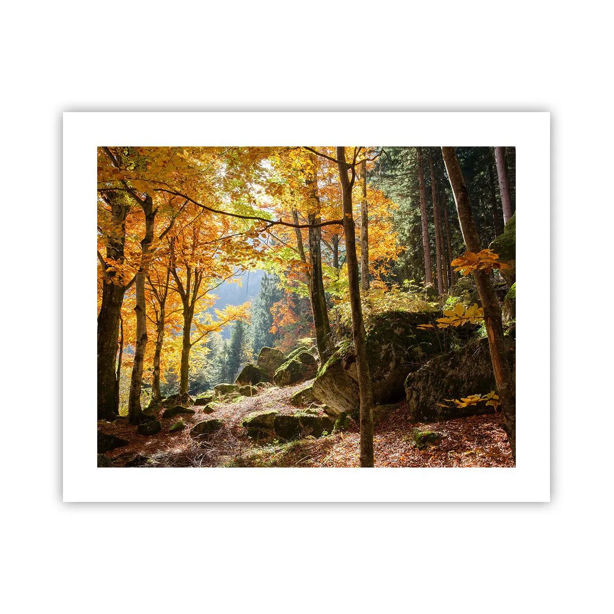 Plakat - Tid til at slappe af - 50x40 cm