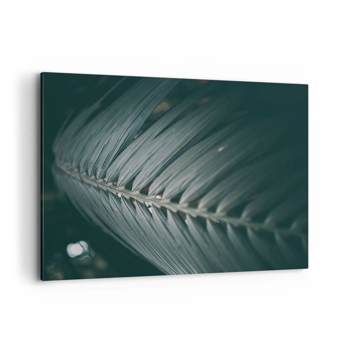 Lærredstryk - Billede på lærred - Naturens præcision - 120x80 cm