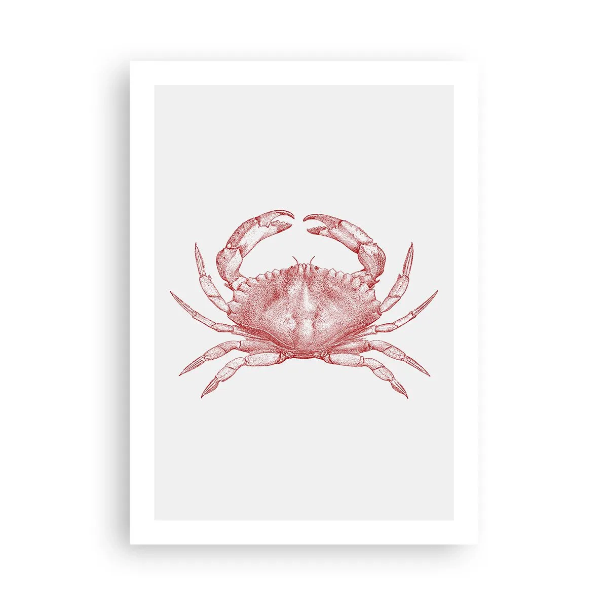 Plakat - Krabbe over krabber - 50x70 cm