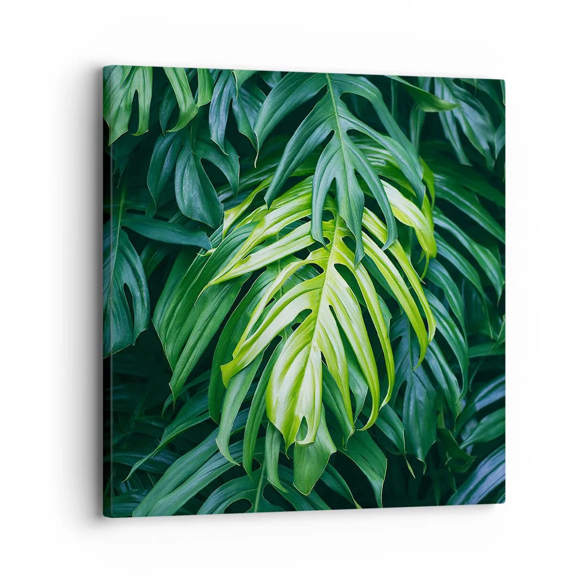 Lærredstryk - Billede på lærred - Fordyb dig i friskhed - 30x30 cm
