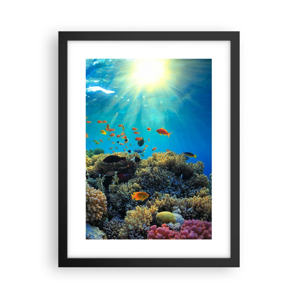 Plakat i sort ramme - Undervandsskatte - 30x40 cm