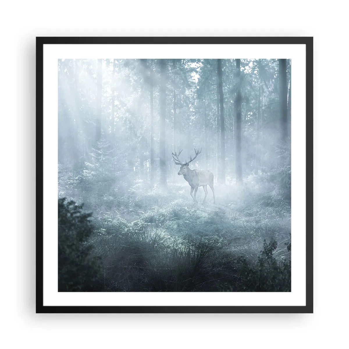 Plakat i sort ramme - Morgenvandring rundt på godset - 60x60 cm