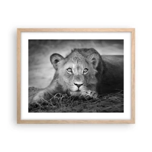 Plakat i ramme af lyst egetræ - Kongelig hvalp - 50x40 cm