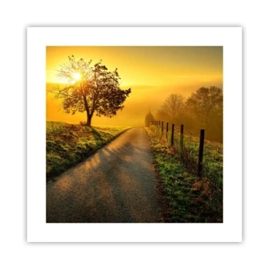 Plakat - Kære eftermiddag - 40x40 cm