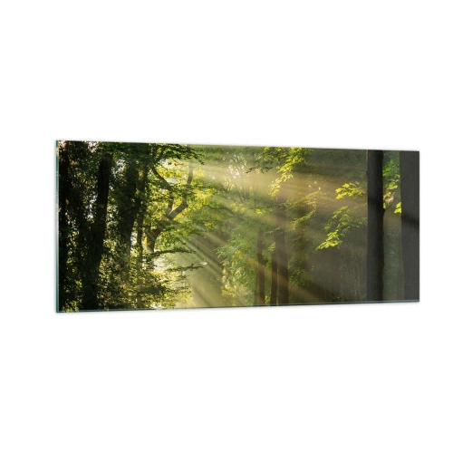 Billede på glas - Øjeblik i skoven - 100x40 cm