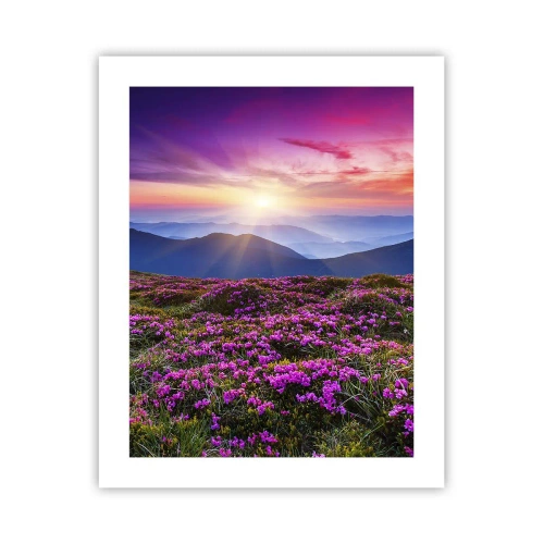 Plakat - Urter duftede friske bundter fra niw - 40x50 cm