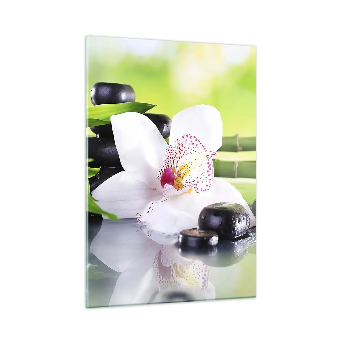 Billede på glas - Kølig friskhed - 50x70 cm