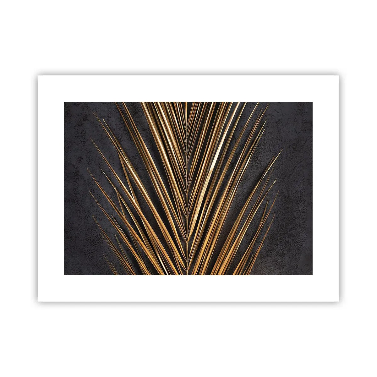 Plakat - Tropernes guld - 40x30 cm