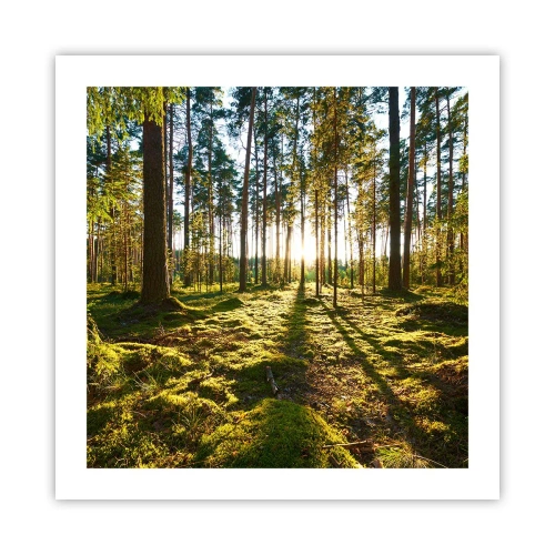 Plakat - ...Bag de syv skove - 50x50 cm