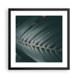 Plakat i sort ramme - Naturens præcision - 40x40 cm
