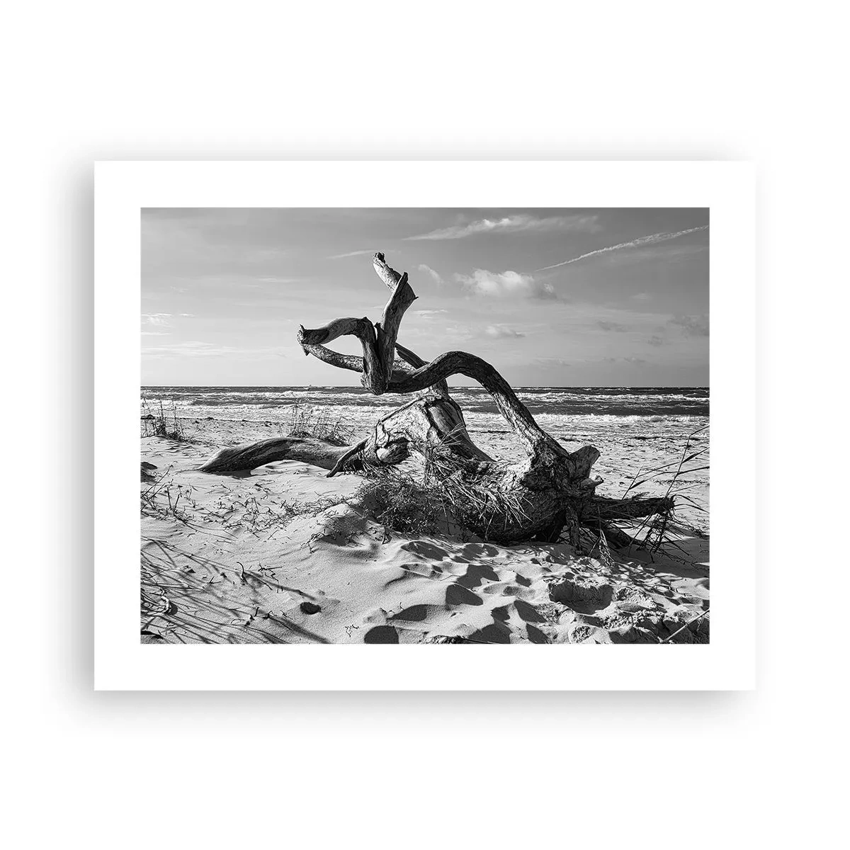 Plakat - Havets skulptur - 50x40 cm