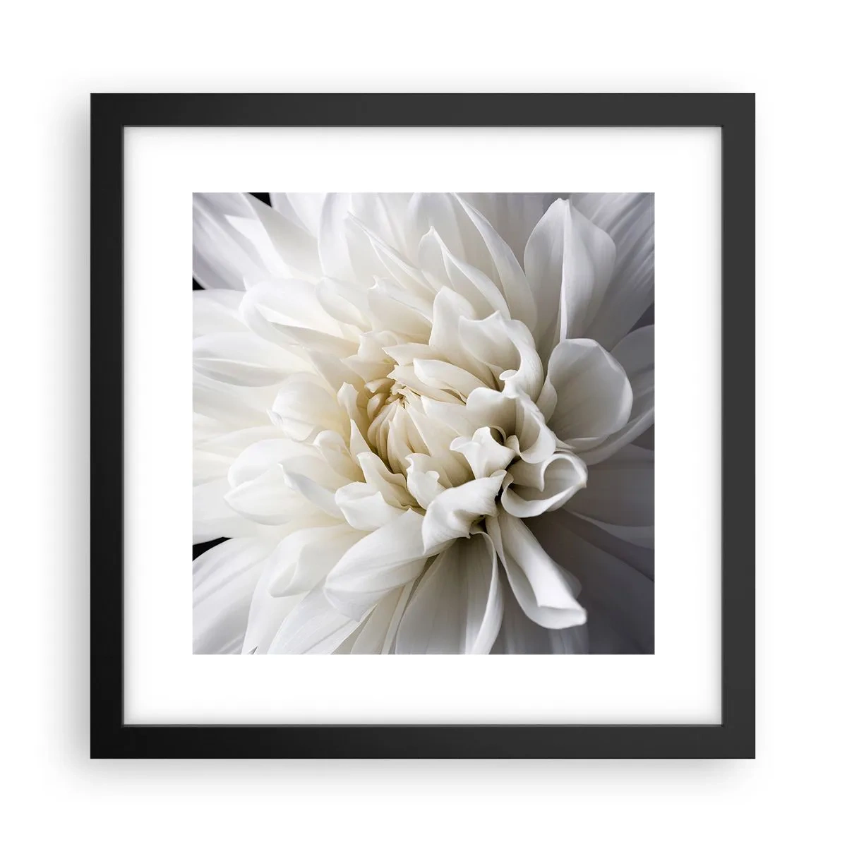Plakat i sort ramme - Morgenbrud - 30x30 cm