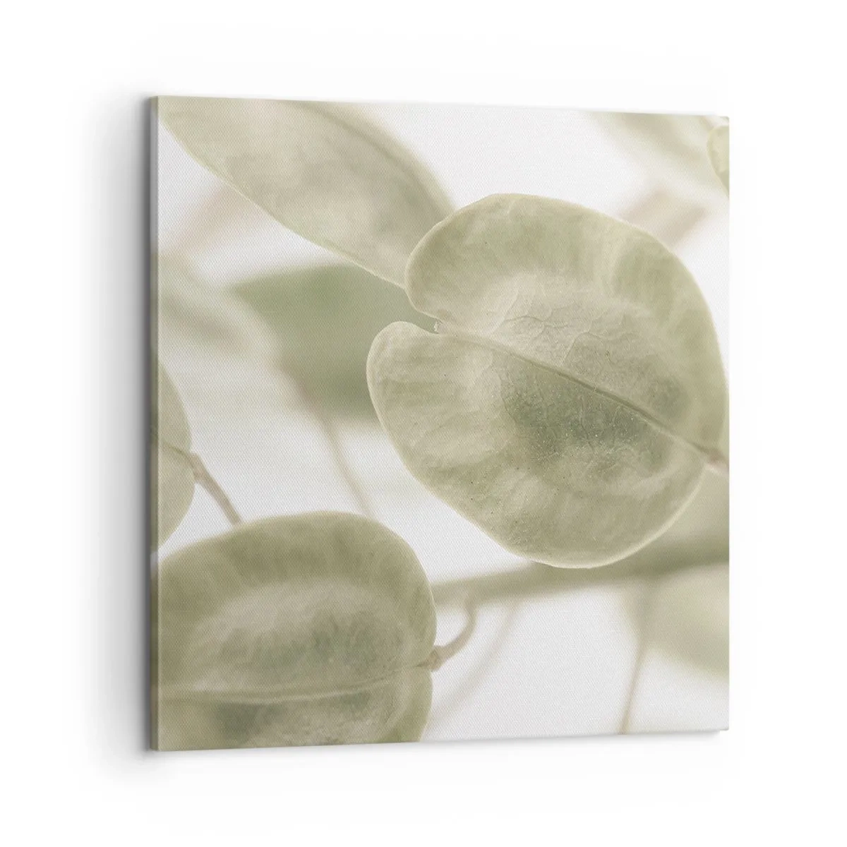 Lærredstryk - Billede på lærred - I begyndelsen var der blade... - 60x60 cm