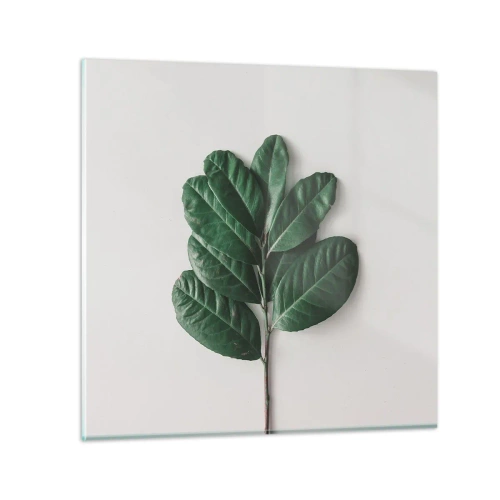 Billede på glas - Tegning af selve naturen - 70x70 cm