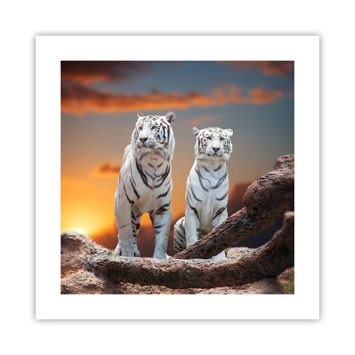 Plakat - Ligesom i Narnia - 40x40 cm