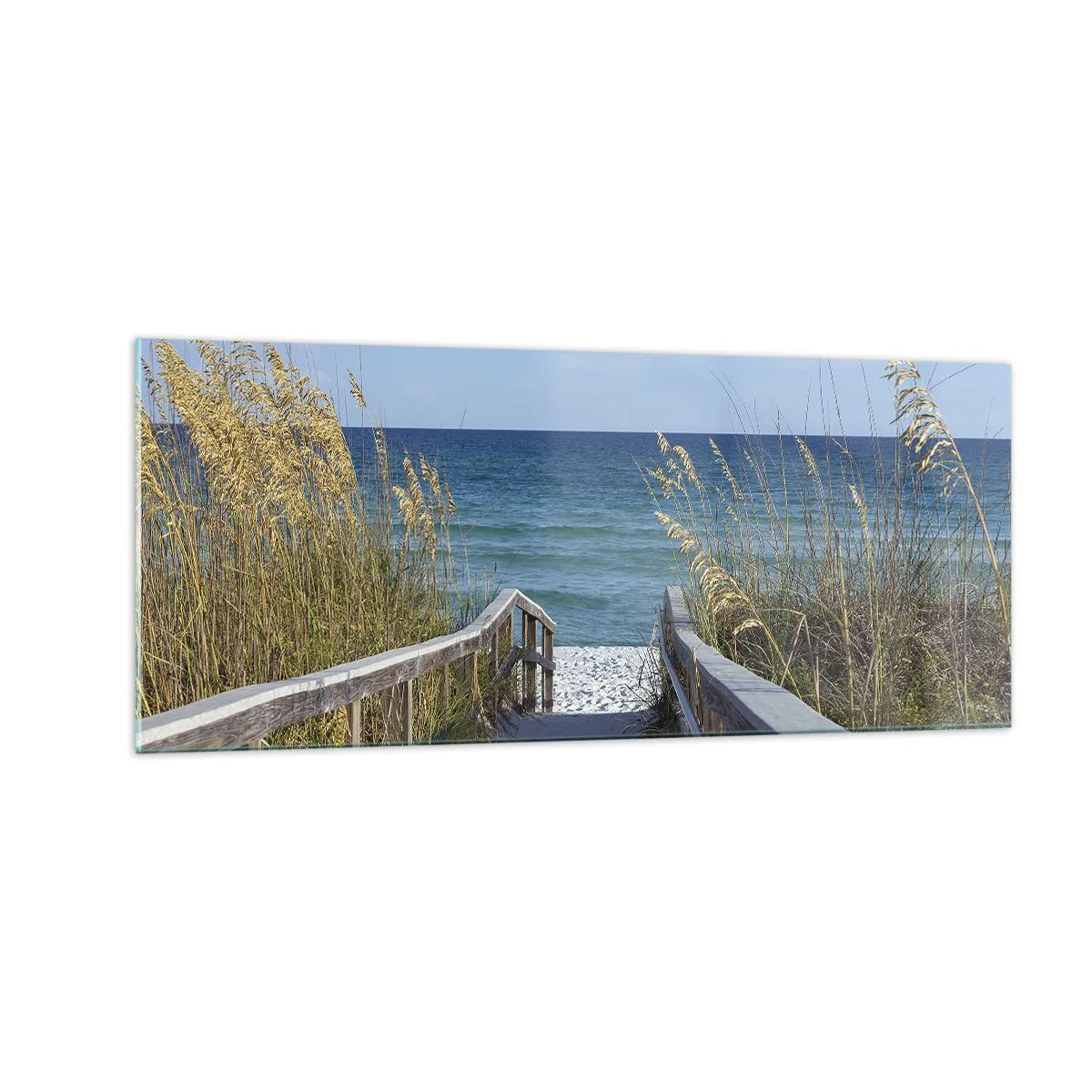 Billede på glas - I solen, i vinden - 100x40 cm