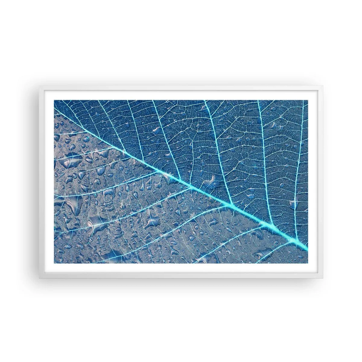 Plakat i hvid ramme - Livet i det blå - 91x61 cm