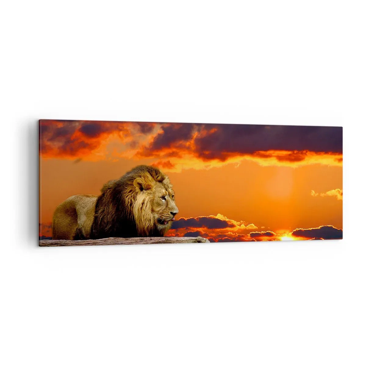 Lærredstryk - Billede på lærred - Naturens konge - 140x50 cm