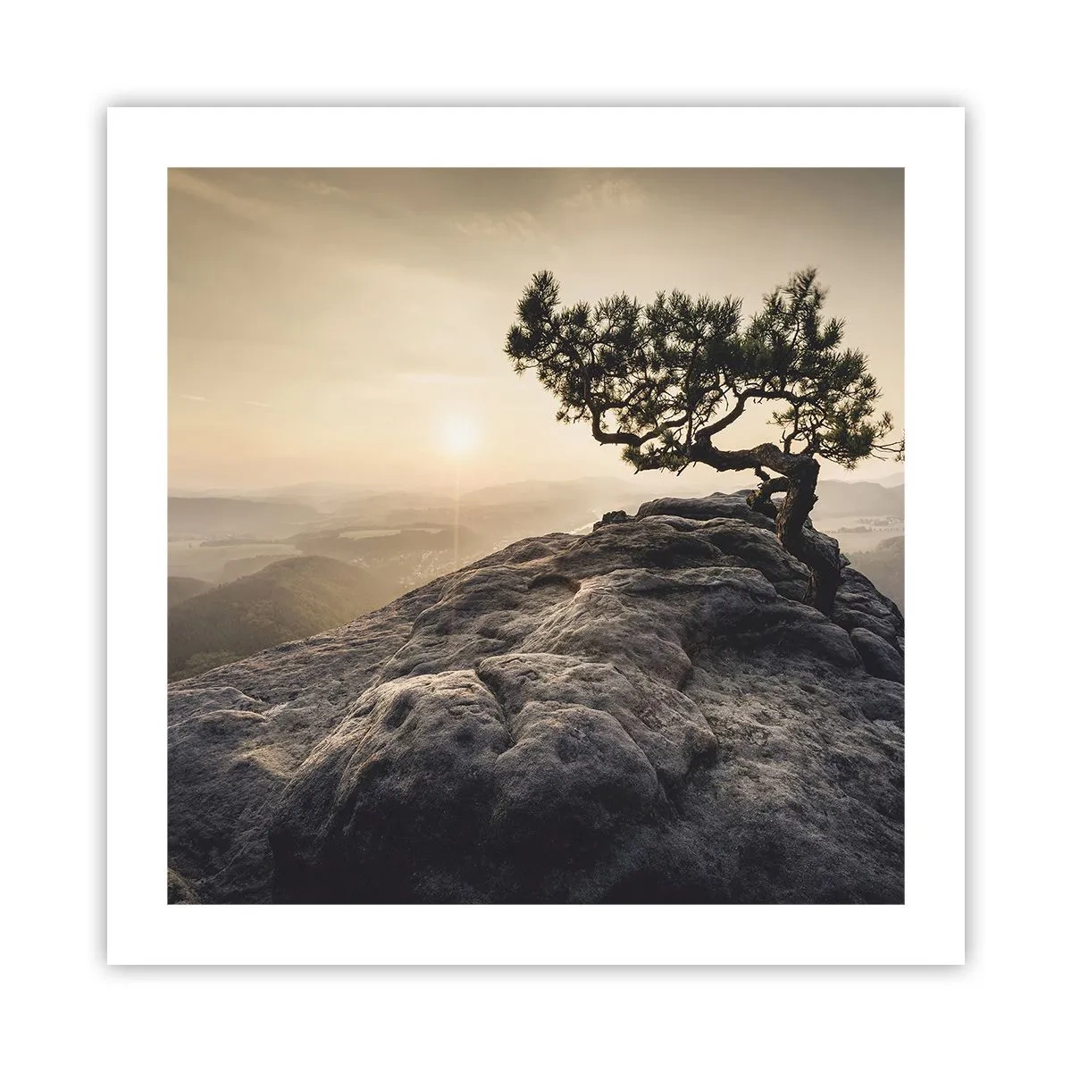 Plakat - Livet vinder altid - 50x50 cm