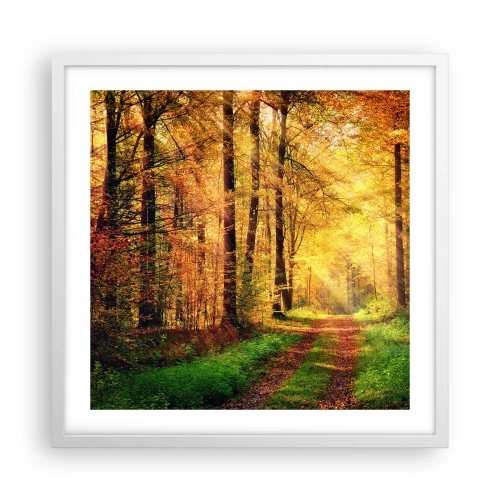 Plakat i hvid ramme - Skovgylden stilhed - 50x50 cm