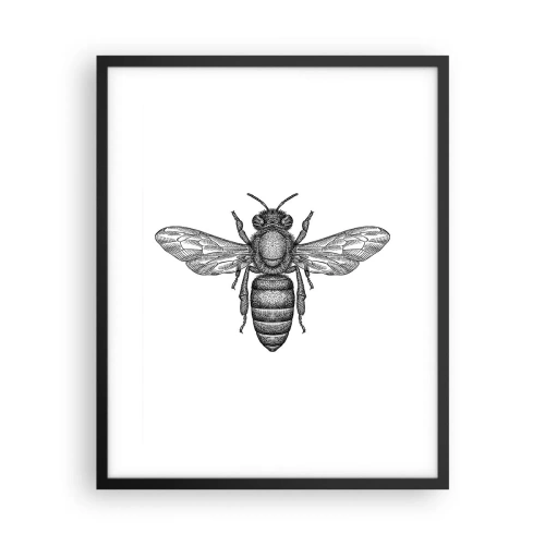 Plakat i sort ramme - Portræt af et insekt - 40x50 cm