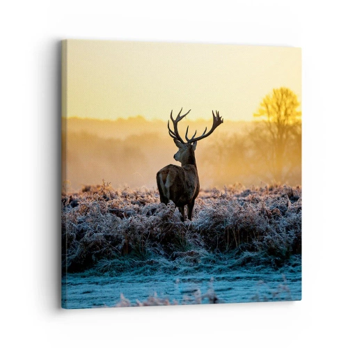 Lærredstryk - Billede på lærred - Kronet på sine godser - 30x30 cm