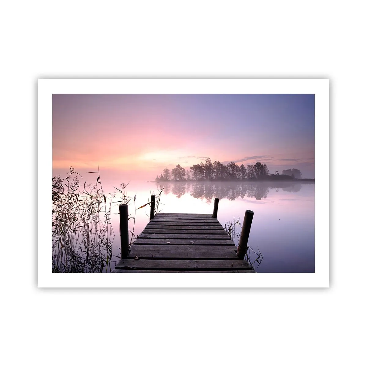 Plakat - Ud af den lilla tåge... - 70x50 cm