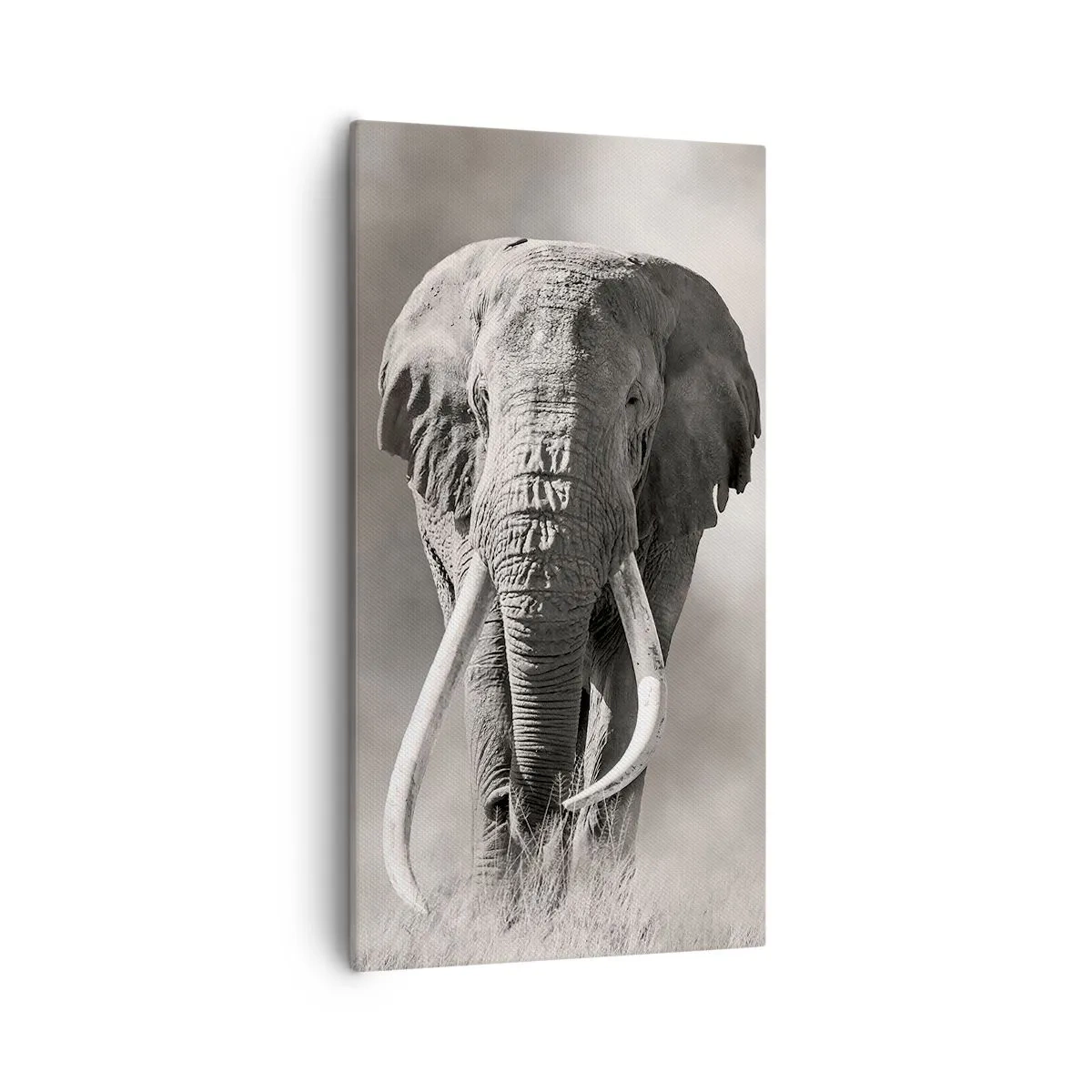 Lærredstryk - Billede på lærred - Afrikansk patriark - 55x100 cm