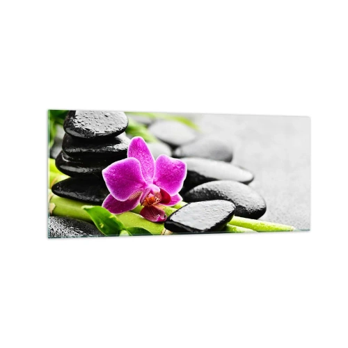 Billede på glas - I en fredelig balance - 120x50 cm