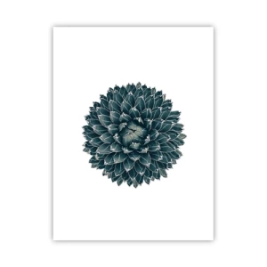 Plakat - Ørkenstjerne - 30x40 cm