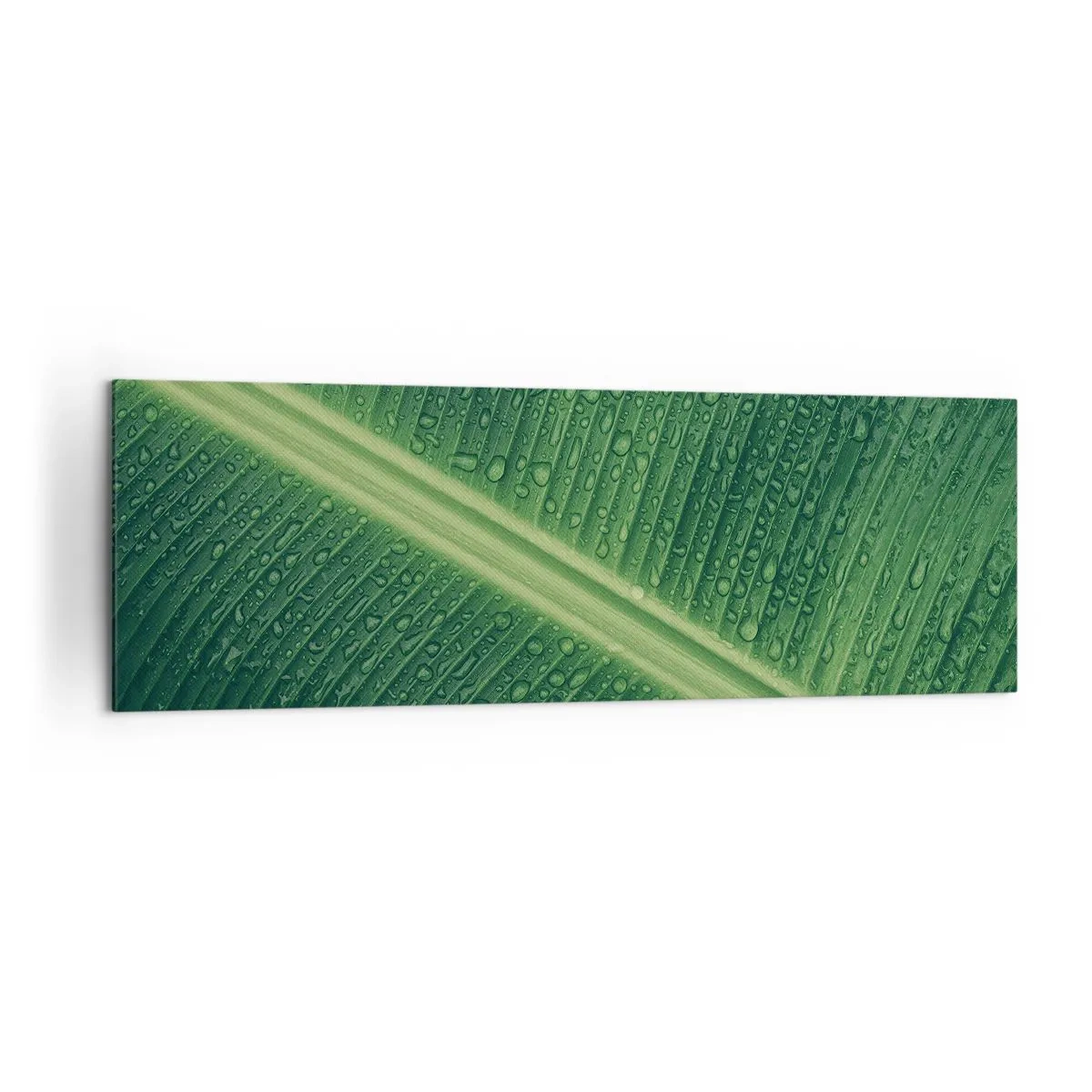 Lærredstryk - Billede på lærred - Grøn struktur - 160x50 cm