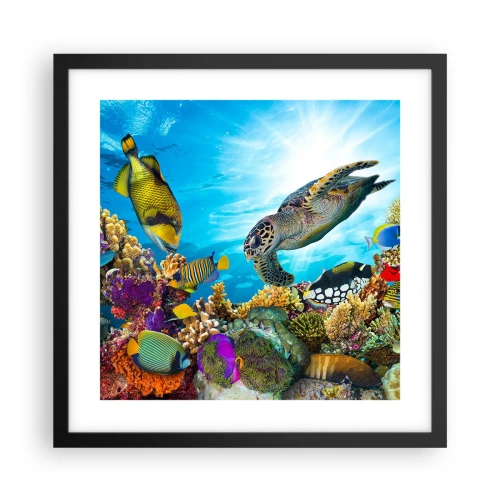 Plakat i sort ramme - Koralpromenade - 40x40 cm