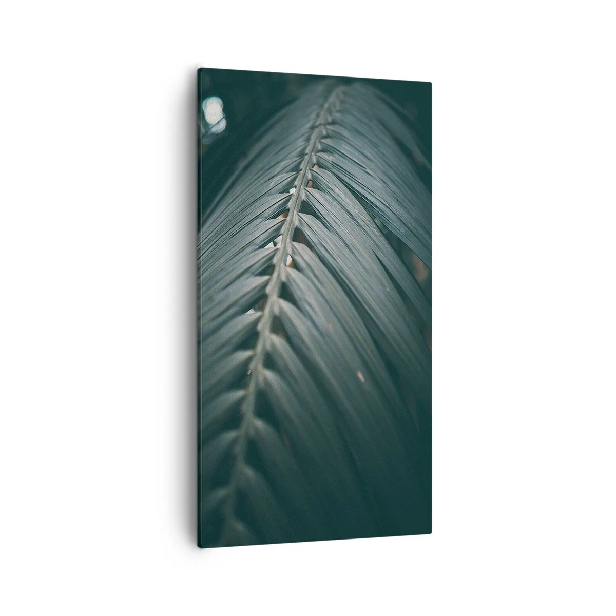 Lærredstryk - Billede på lærred - Naturens præcision - 55x100 cm