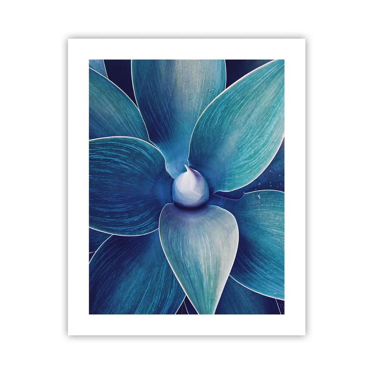 Plakat - Blå fra himlen - 40x50 cm