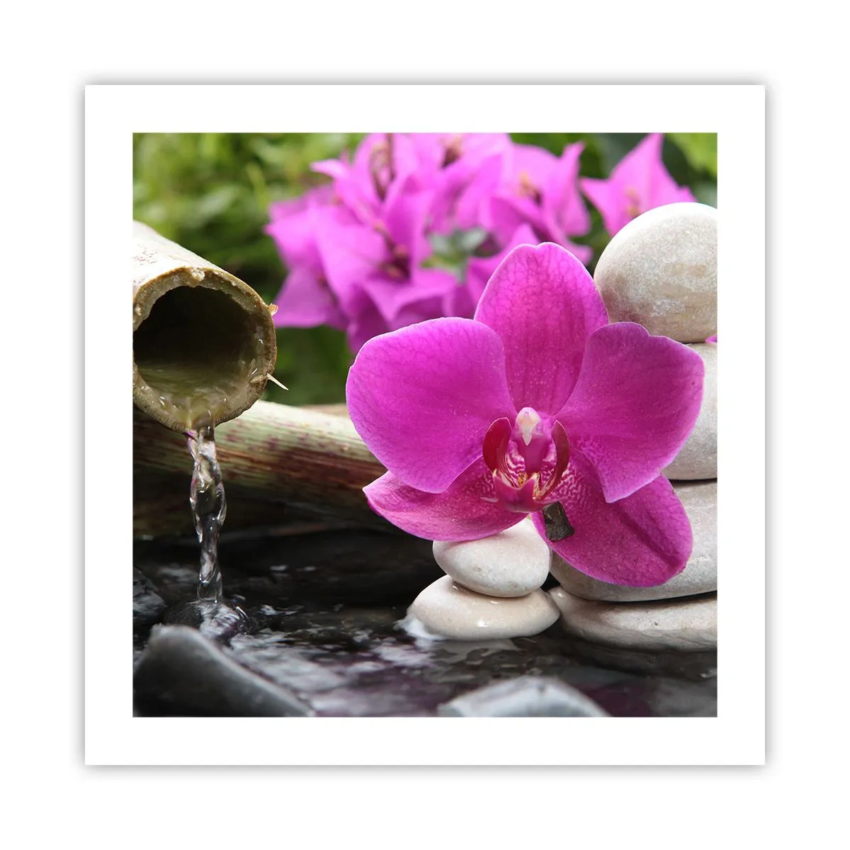 Plakat - Du hviler allerede - 50x50 cm