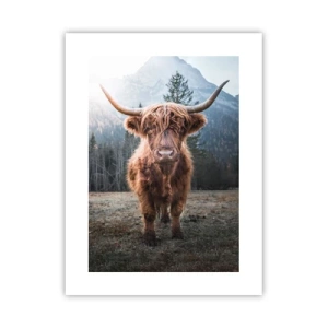 Plakat - Hilsner fra en eng i bjergene - 30x40 cm