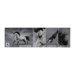 Prøve Fototapet Premium Sand - Født til glæde - Dyr, Hest, Natur - 100x30 cm