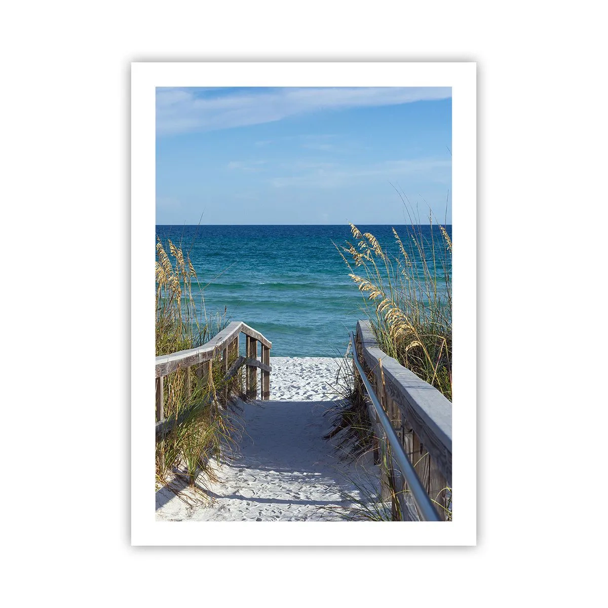 Plakat - I solen, i vinden - 50x70 cm