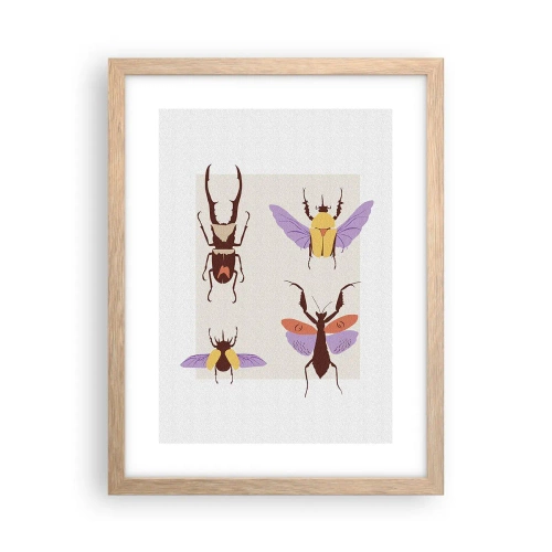 Plakat i ramme af lyst egetræ - Insekternes verden - 30x40 cm