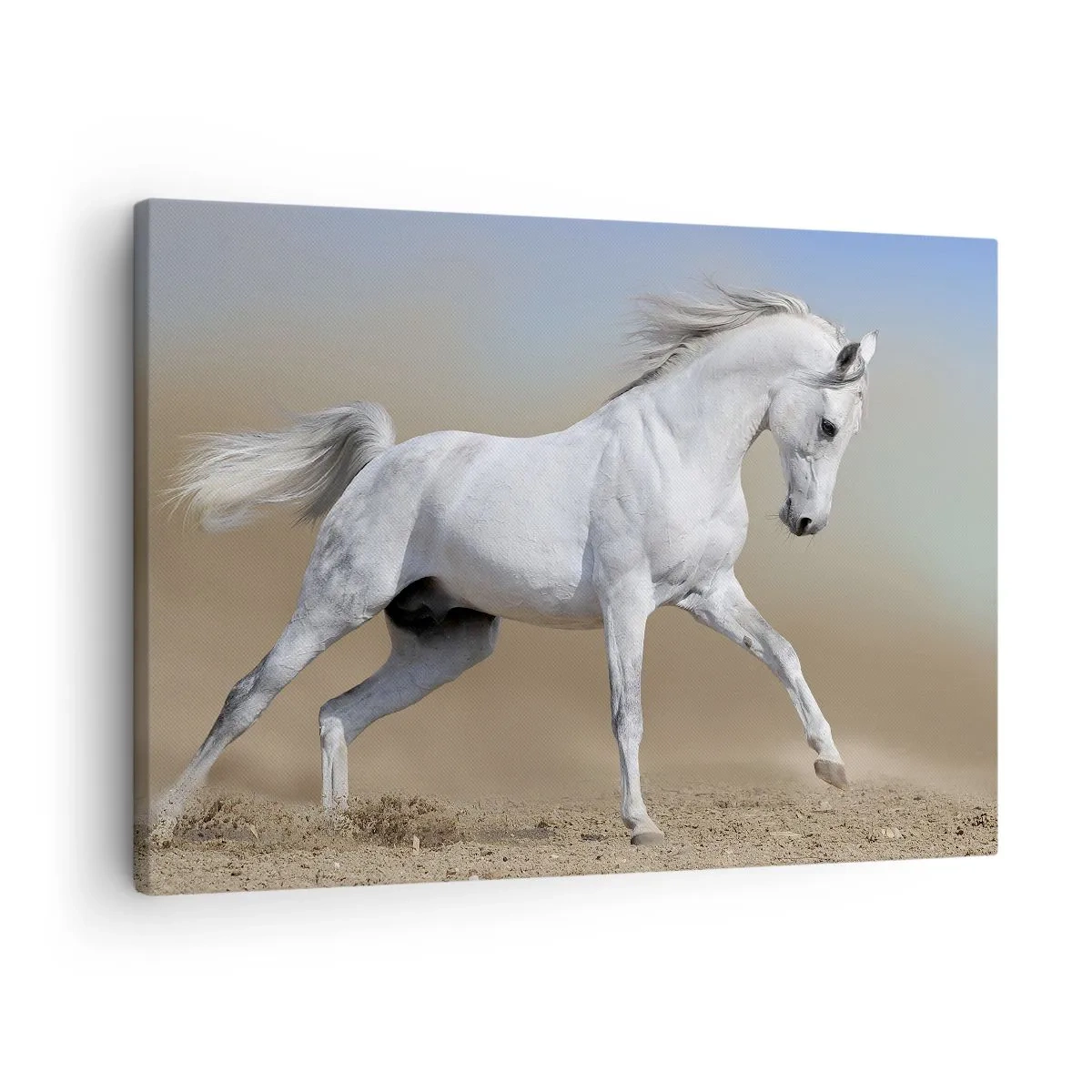 Lærredstryk - Billede på lærred - En hvid hest galoperer hen over et ørkenlandskab - 70x50cm - Den smukkeste arabiske fortælling - Moderne vægdekoration til stue og soveværelse ARTTOR