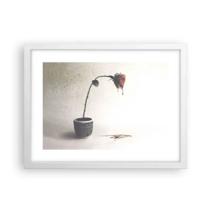 Plakat i hvid ramme - Rosa dolorosa - 40x30 cm