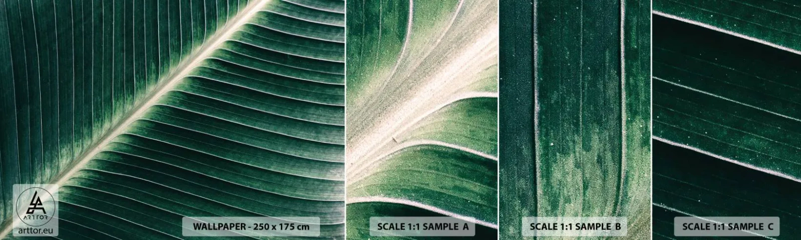 Prøve Fototapet Selvklæbende Deluxe Sticker - Naturens rytme - Abstraktion, Grønt blad, Grafik - 100x30 cm