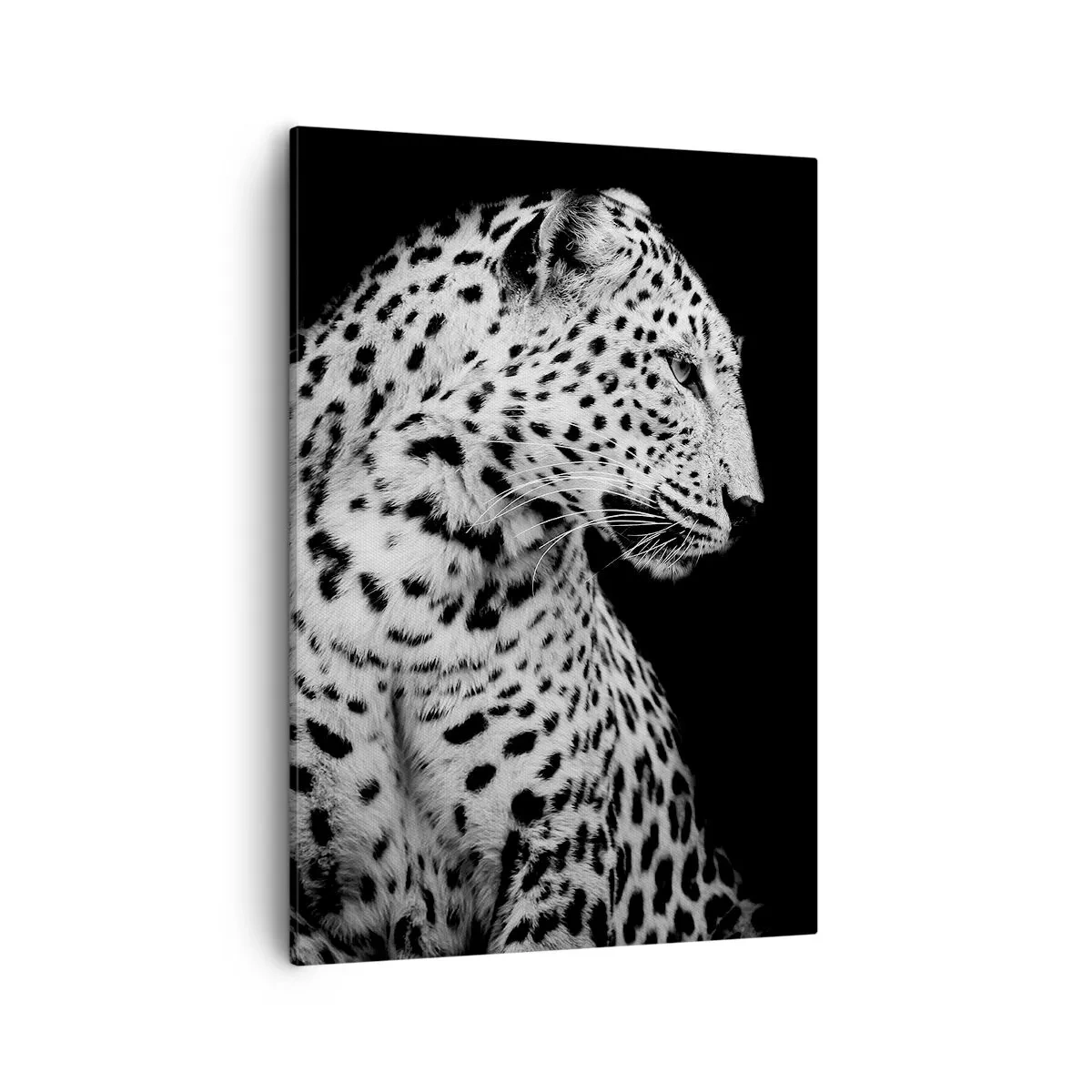 Lærredstryk - Billede på lærred - Den rigtige profil er perfekt! - 50x70 cm