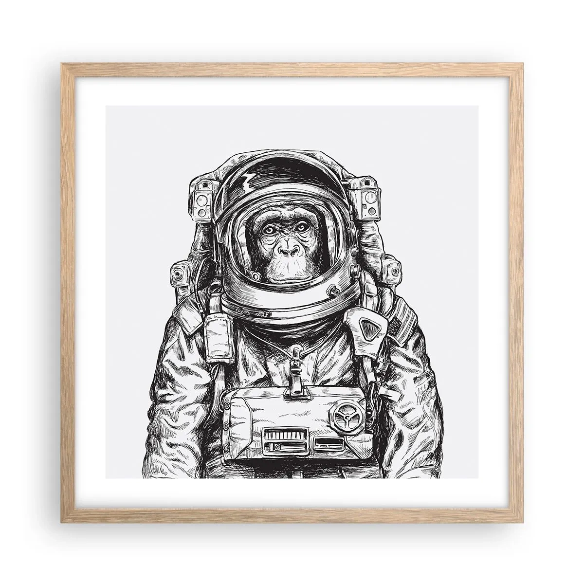 Plakat i ramme af lyst egetræ - Alternativ evolution - 50x50 cm