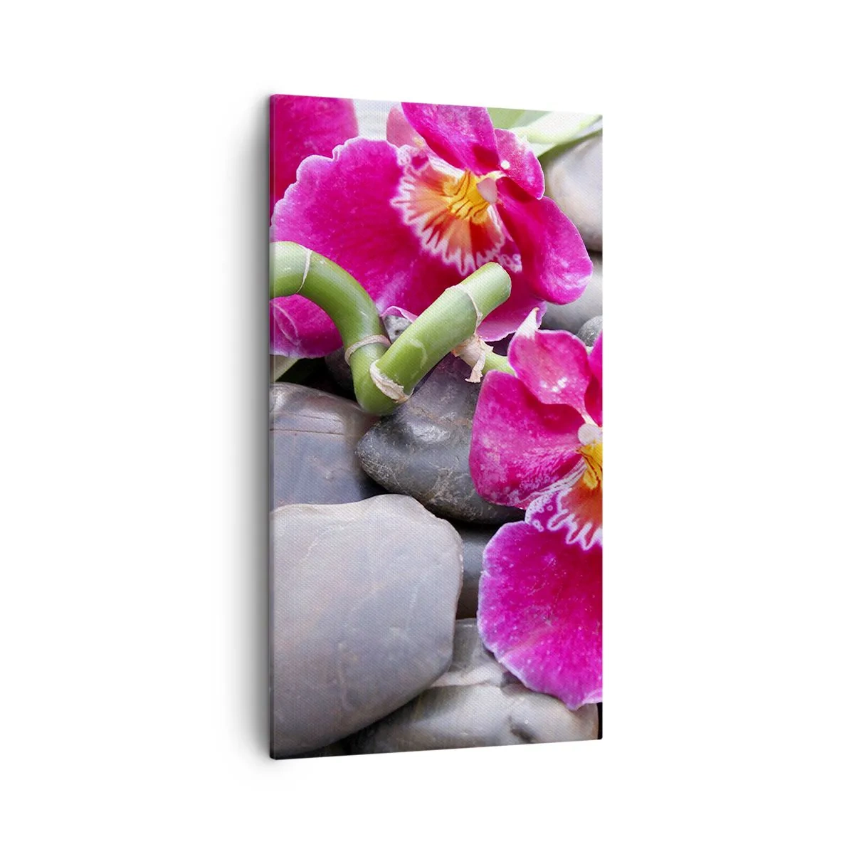 Lærredstryk - Billede på lærred - Kulde og varme - 45x80 cm