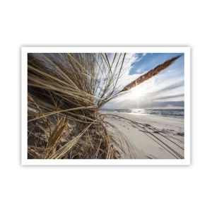 Plakat - Et møde mellem elementerne - 100x70 cm