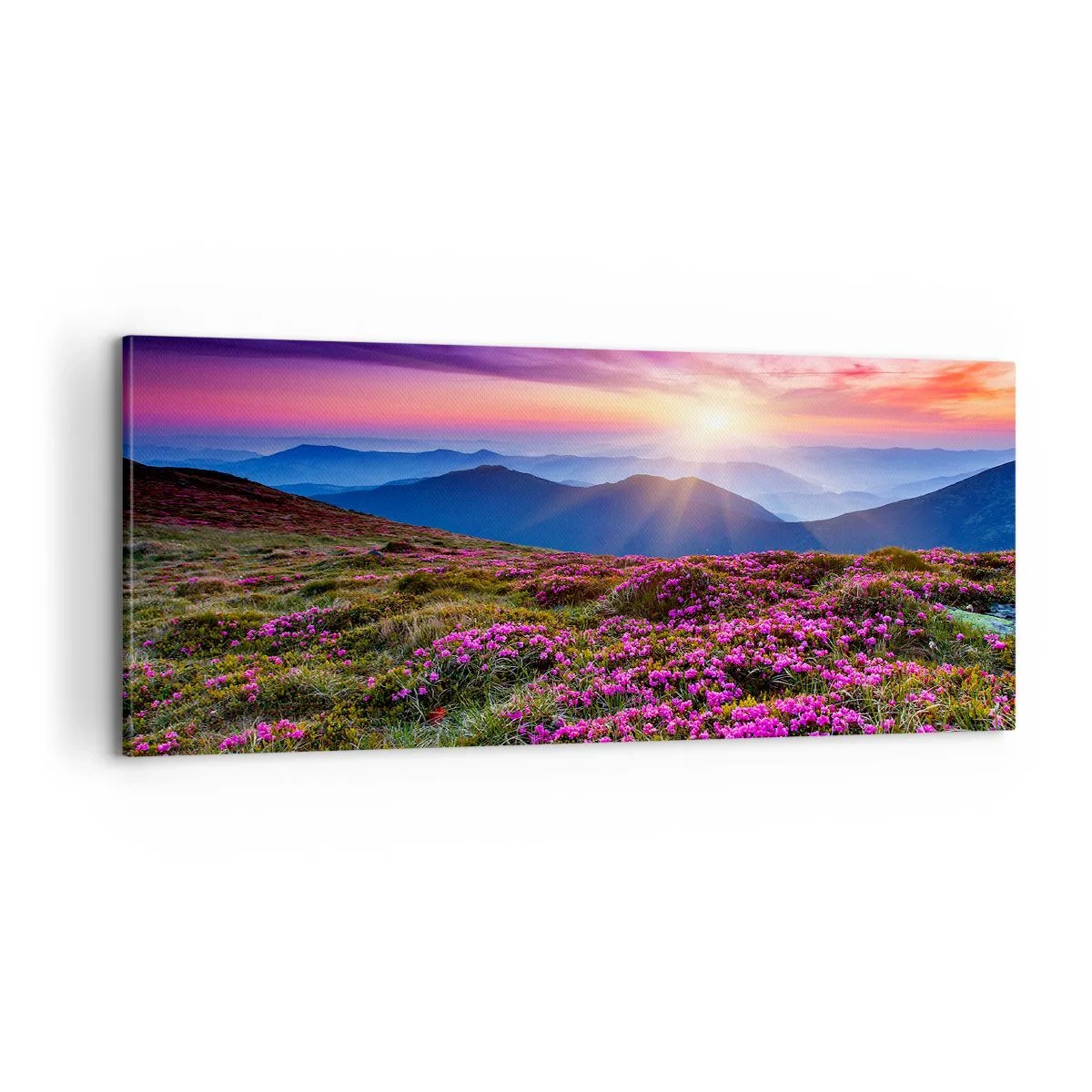 Lærredstryk - Billede på lærred - Urter duftede friske bundter fra niw - 100x40 cm